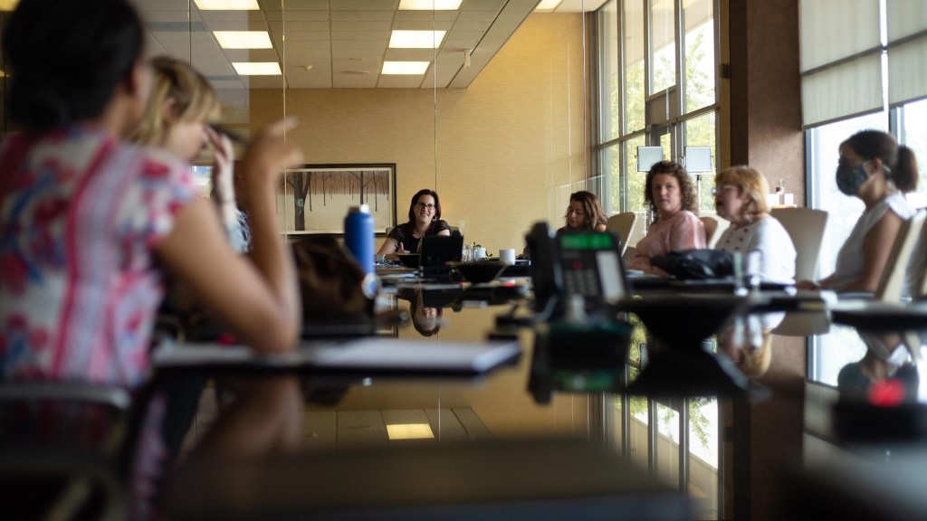 Mental health professionals team